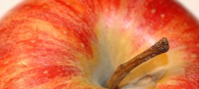 Encopresis Treatment – Part One